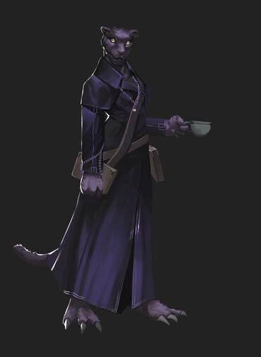 D&D Ampliterra Character Concept